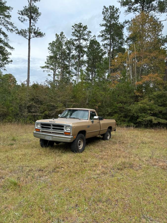 Dodge-1990-brown-175418