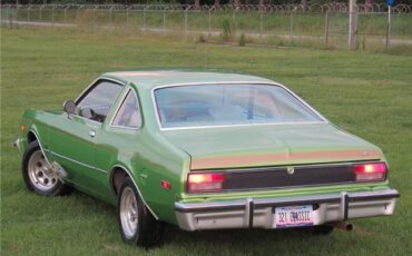 Dodge-Aspen-Coupe-1977-Green-White-93896-1