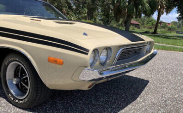 Dodge-Challenger-1973-Tan-Black-138519-11