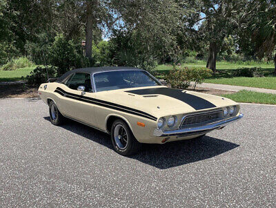 Dodge-Challenger-1973-Tan-Black-138519-5