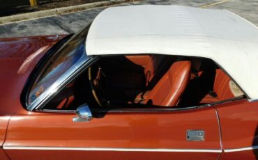 Dodge-Challenger-Cabriolet-1970-Orange-Orange-126860-11