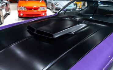 Dodge-Challenger-Coupe-1970-Plum-Crazy-Black-69337-28