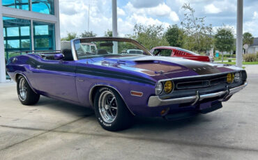 Dodge-Challenger-Coupe-1971-Purple-Black-80791-2