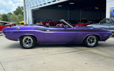 Dodge-Challenger-Coupe-1971-Purple-Black-80791-3