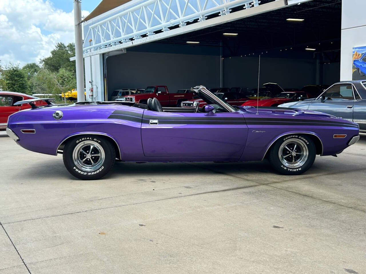 Dodge-Challenger-Coupe-1971-Purple-Black-80791-3