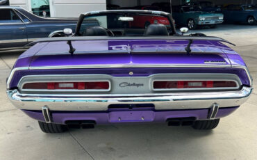 Dodge-Challenger-Coupe-1971-Purple-Black-80791-5