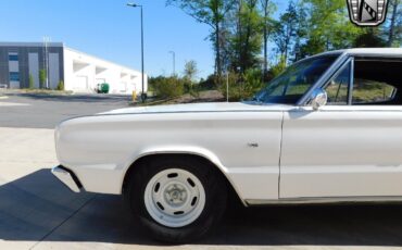 Dodge-Charger-1966-White-Black-60473-5