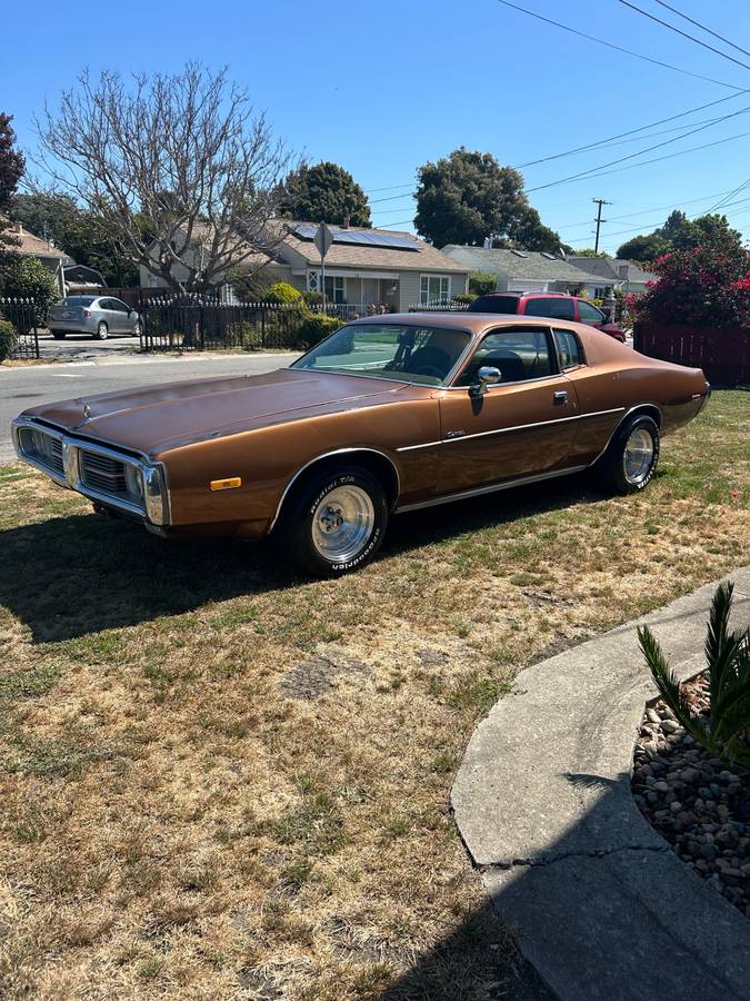 Dodge-Charger-1974-brown-64374-1