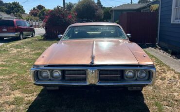 Dodge-Charger-1974-brown-64374-2