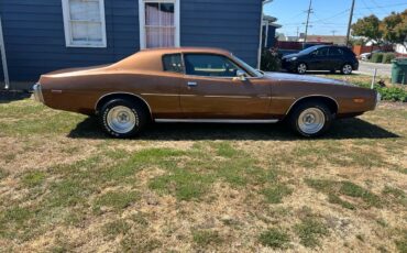 Dodge-Charger-1974-brown-64374-3