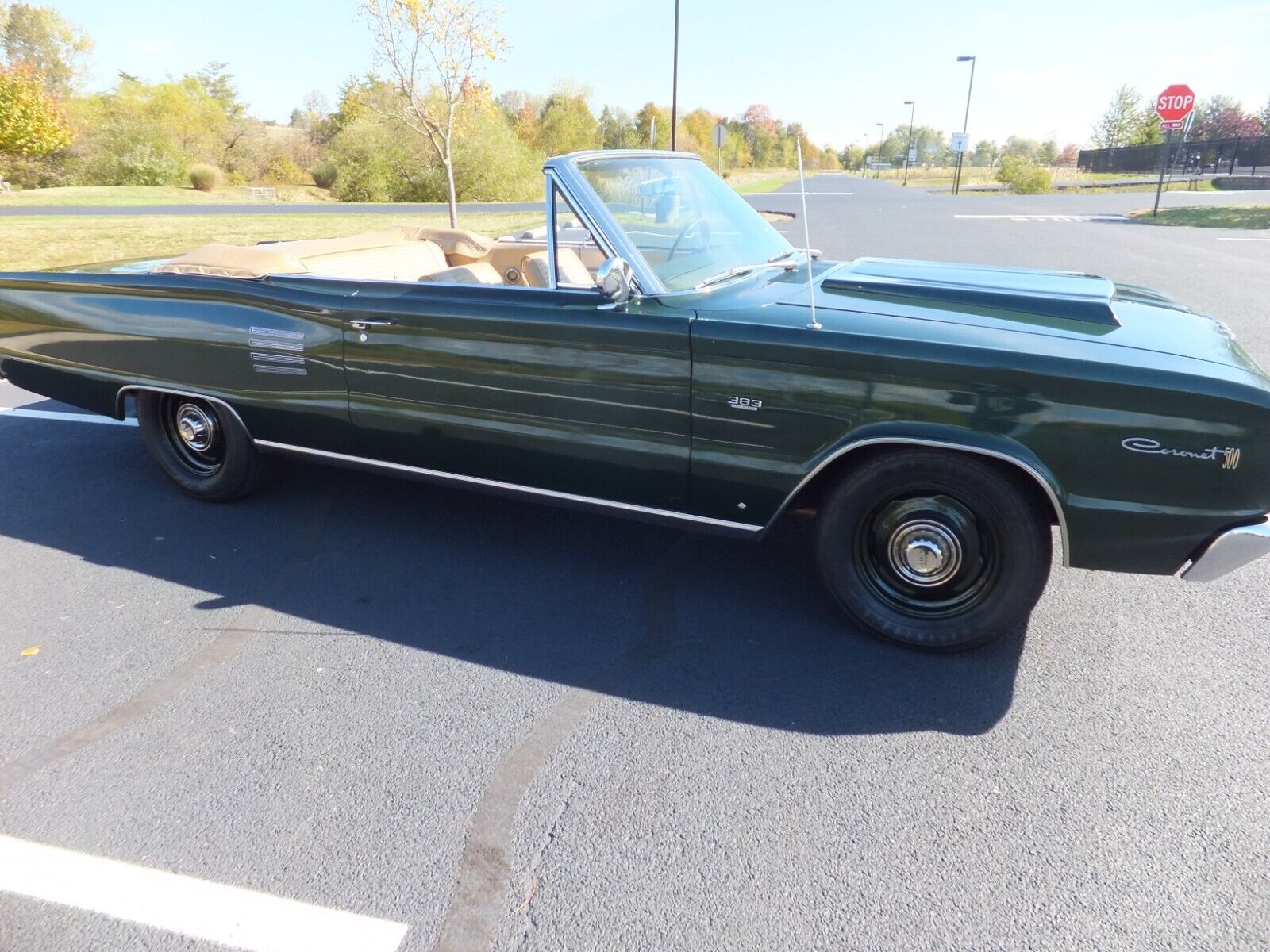 Dodge-Coronet-Cabriolet-1966-52936-10