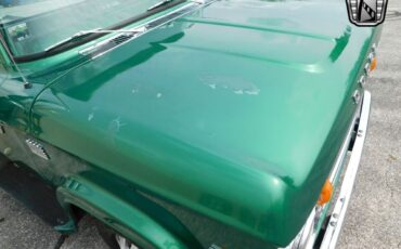 Dodge-D-Series-Cabriolet-1969-Green-Green-111679-11