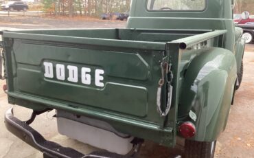 Dodge-D100-power-wagon-1959-green-74030-8