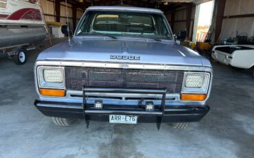 Dodge-D250-diesel-1989-silver-297728