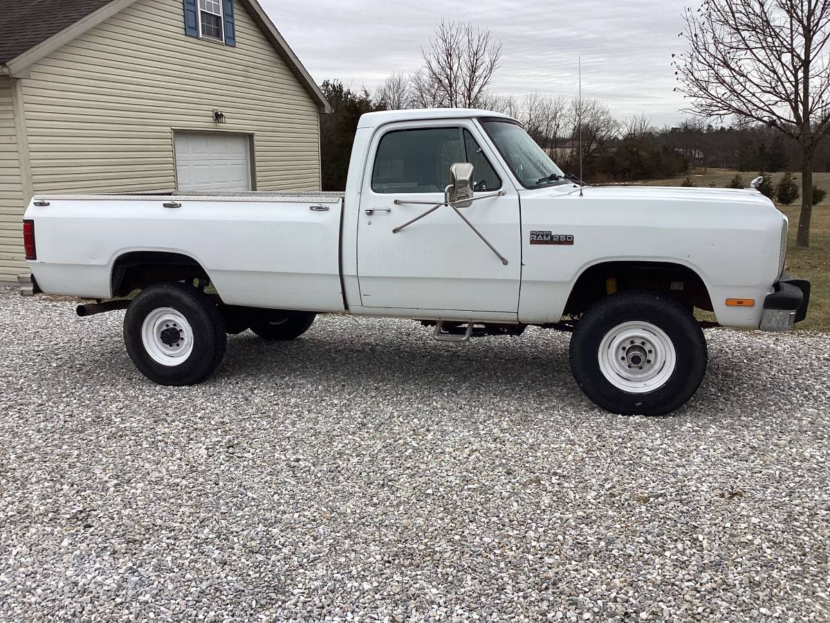 Dodge-D250-diesel-1993-white-277774