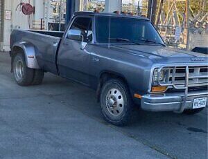 Dodge-D350-Pickup-1989-Gray-Gray-130357-1