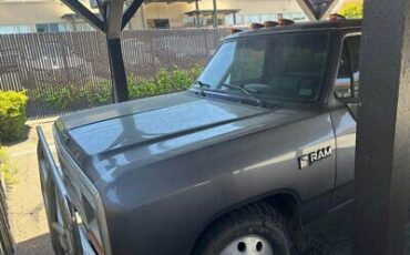 Dodge-D350-Pickup-1989-Gray-Gray-130357-3