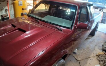 Dodge-Dakota-1991-155717-13