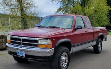 Dodge-Dakota-1995-Burgundy-305614-1