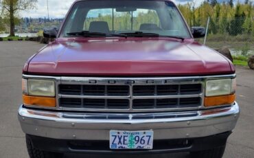 Dodge-Dakota-1995-Burgundy-305614-2