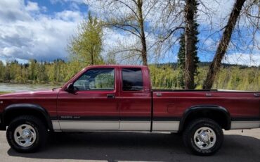 Dodge-Dakota-1995-Burgundy-305614-3