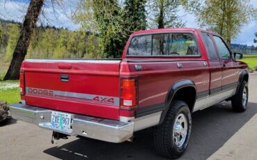 Dodge-Dakota-1995-Burgundy-305614-4