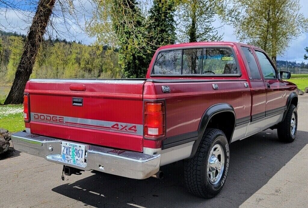 Dodge-Dakota-1995-Burgundy-305614-4