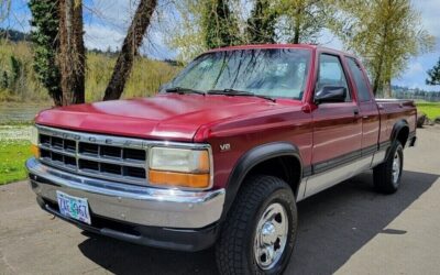 Dodge Dakota  1995 à vendre