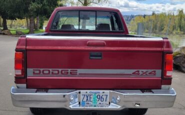 Dodge-Dakota-1995-Burgundy-305614-5