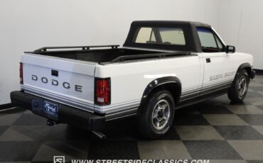 Dodge-Dakota-Pickup-1989-White-Red-132789-10