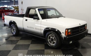 Dodge-Dakota-Pickup-1989-White-Red-132789-13