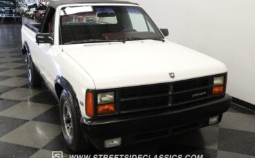 Dodge-Dakota-Pickup-1989-White-Red-132789-14