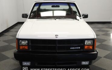 Dodge-Dakota-Pickup-1989-White-Red-132789-15