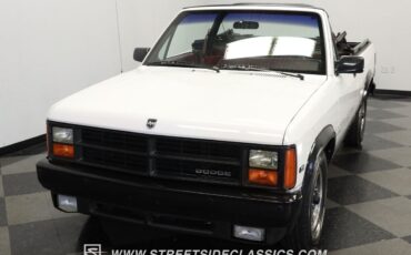 Dodge-Dakota-Pickup-1989-White-Red-132789-16