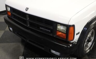 Dodge-Dakota-Pickup-1989-White-Red-132789-18