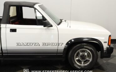 Dodge-Dakota-Pickup-1989-White-Red-132789-28