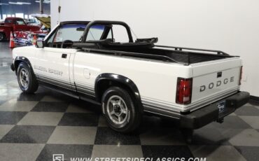 Dodge-Dakota-Pickup-1989-White-Red-132789-6