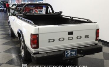 Dodge-Dakota-Pickup-1989-White-Red-132789-7