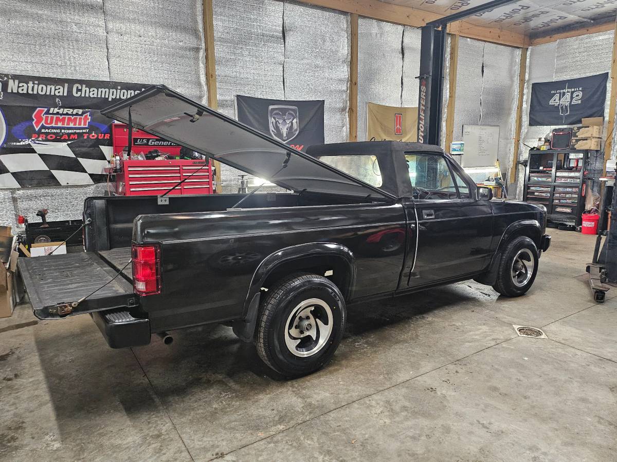 Dodge-Dakota-sport-1989-black-175418-5