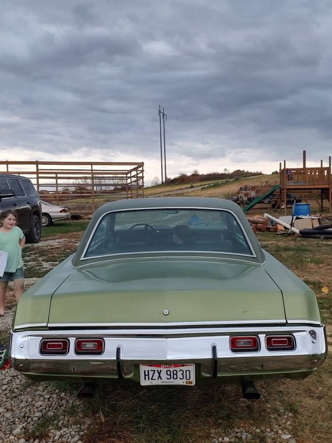 Dodge-Dart-swinger-1972-green-54718-10