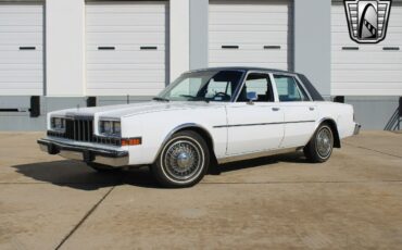 Dodge-Diplomat-Berline-1984-White-Gray-78459-3