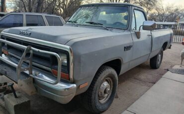 Dodge-First-generation-1990-grey-270369-8