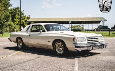 Dodge-Magnum-Coupe-1978-White-Tan-136826-8