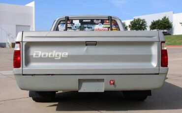 Dodge-Other-Pickups-Cabriolet-1976-Gray-Black-106114-6