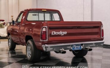 Dodge-Other-Pickups-Pickup-1977-Copper-Black-5029-10