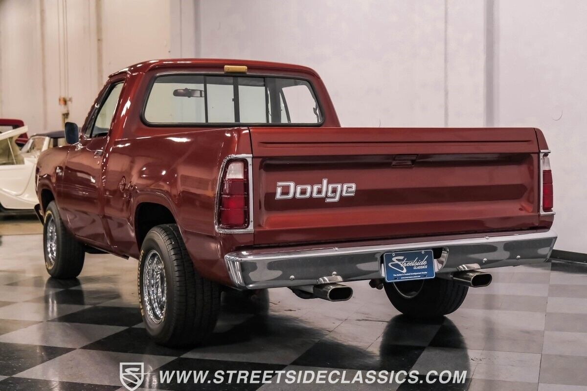 Dodge-Other-Pickups-Pickup-1977-Copper-Black-5029-10