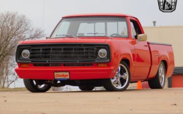 Dodge-Other-Pickups-Pickup-1978-Red-Tan-65652-2