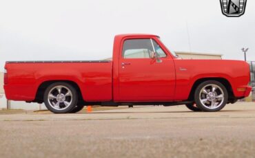 Dodge-Other-Pickups-Pickup-1978-Red-Tan-65652-6