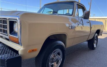 Dodge-Other-Pickups-Pickup-1982-beige-Tan-7242-1