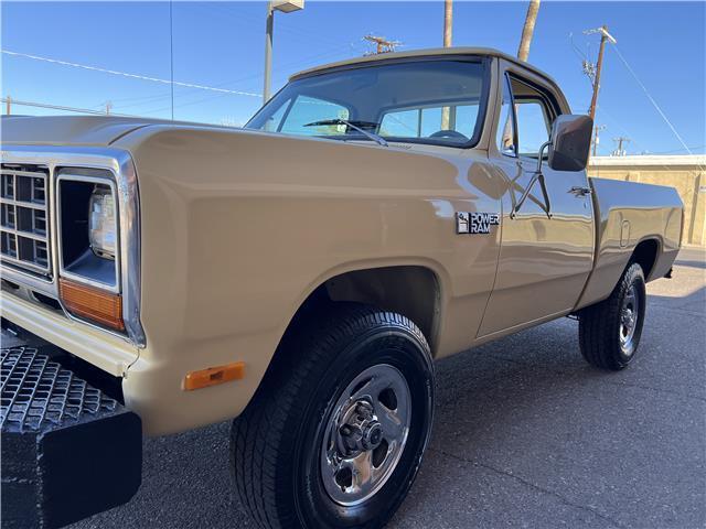 Dodge-Other-Pickups-Pickup-1982-beige-Tan-7242-1